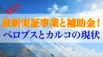 ペロブスカイトとカルコパイライトの最新実証事業！補助金についても解説